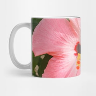 Pink Hibiscus Flower Mug